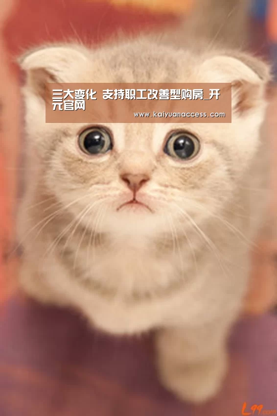 开元推荐