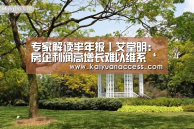 专家解读半年报丨艾堂明:房企利润高增长难以维系‘开元官网’(图3) 开元赛事