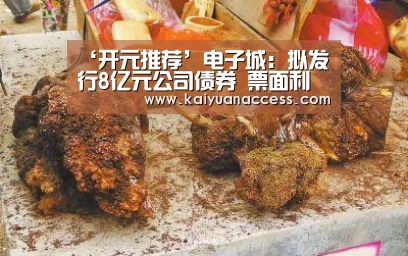 ‘开元推荐’电子城:拟发行8亿元公司债券 票面利率3.35%(图2) 开元推荐