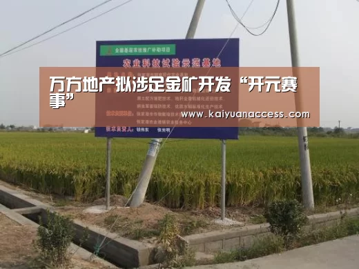 万方地产拟涉足金矿开发“开元赛事”(图2) 开元推荐