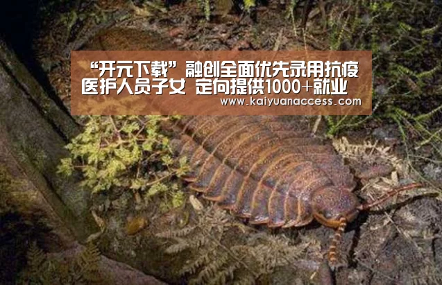 “开元下载”融创全面优先录用抗疫医护人员子女 定向提供1000+就业岗位(图1) 开元推荐
