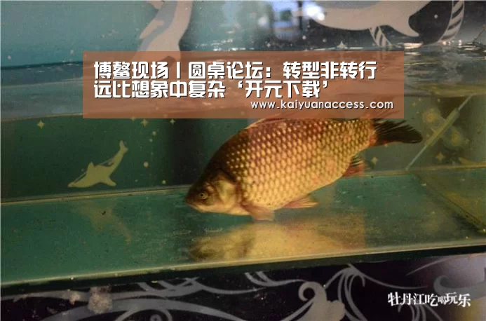 开元推荐